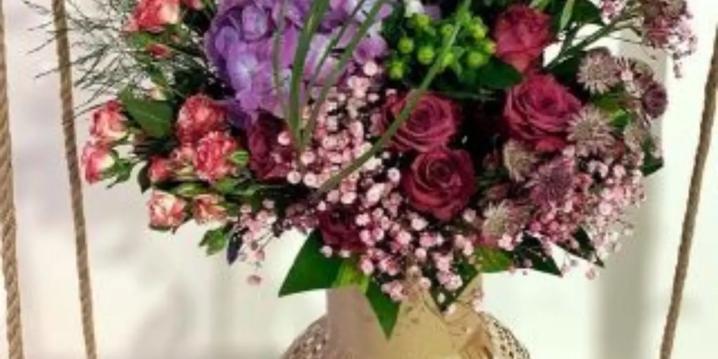 ورود النخبة cover