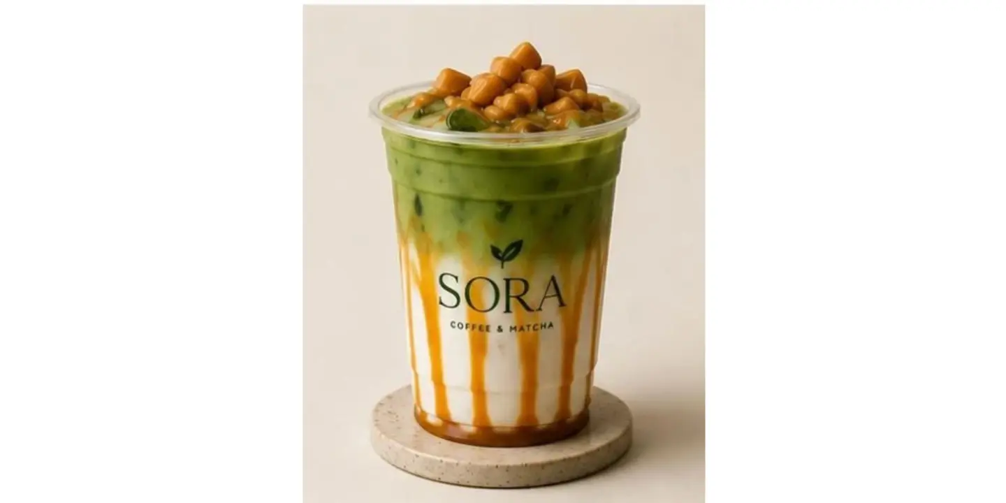 SORA cover