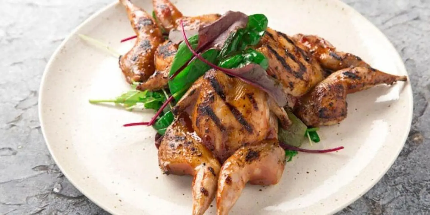 Tanoor Indian Restaurant cover