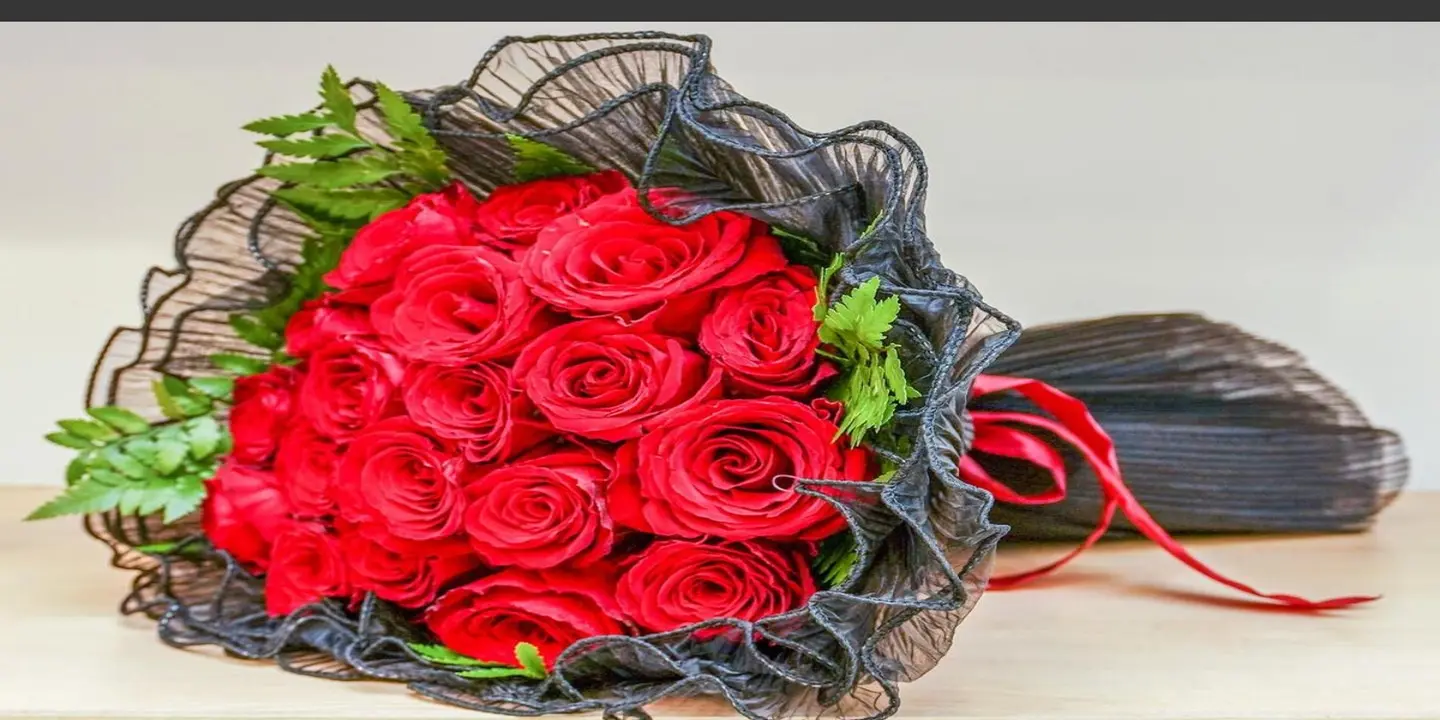 إيف روز  cover