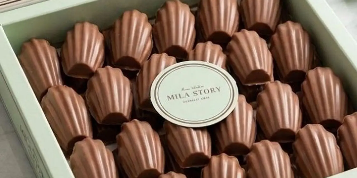 Mila Story cover