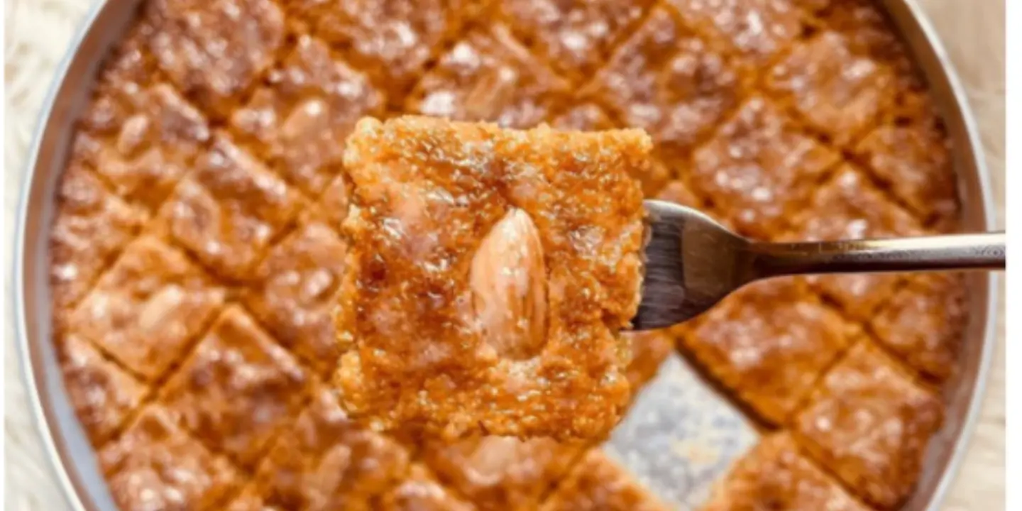 فستق cover