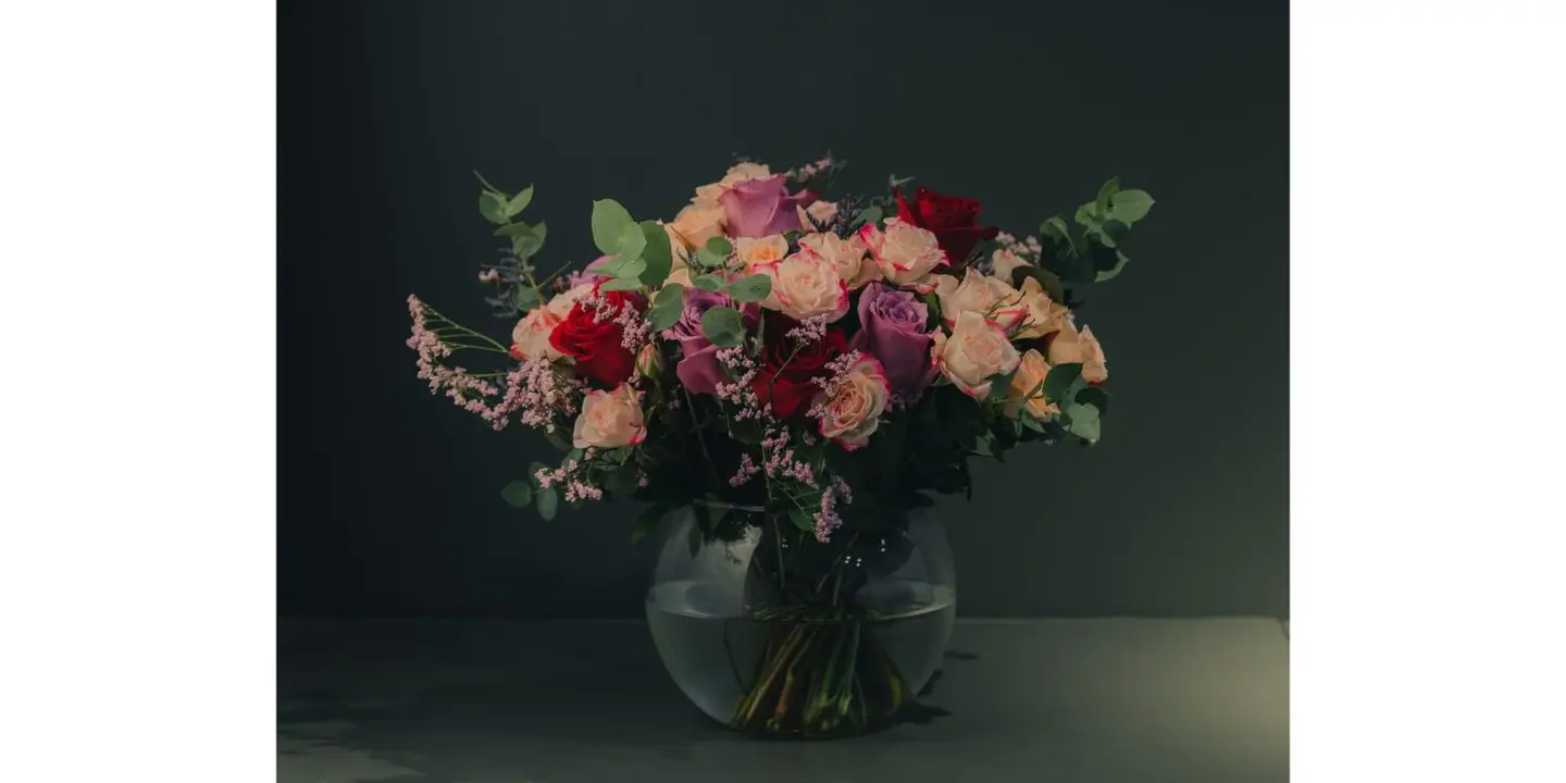 هيفن جاردن cover