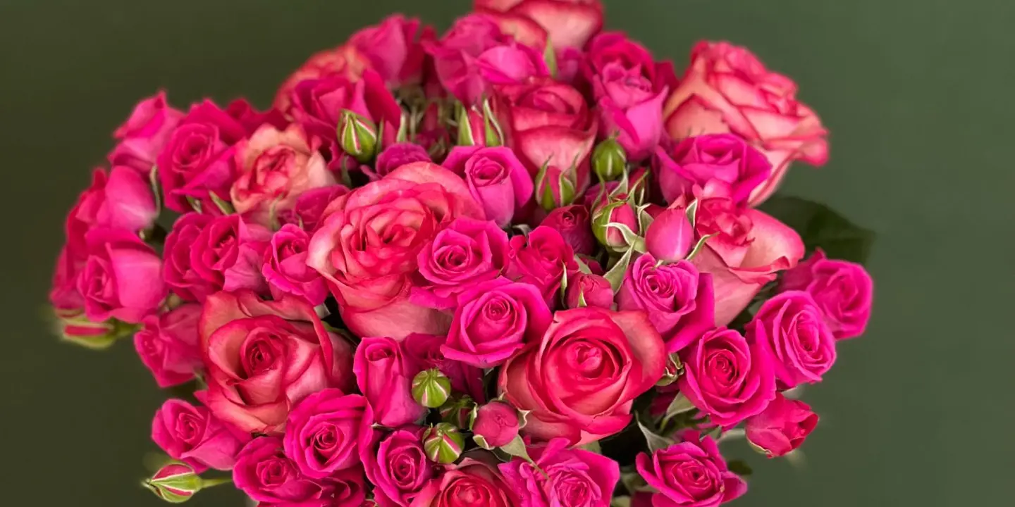 مسرات cover