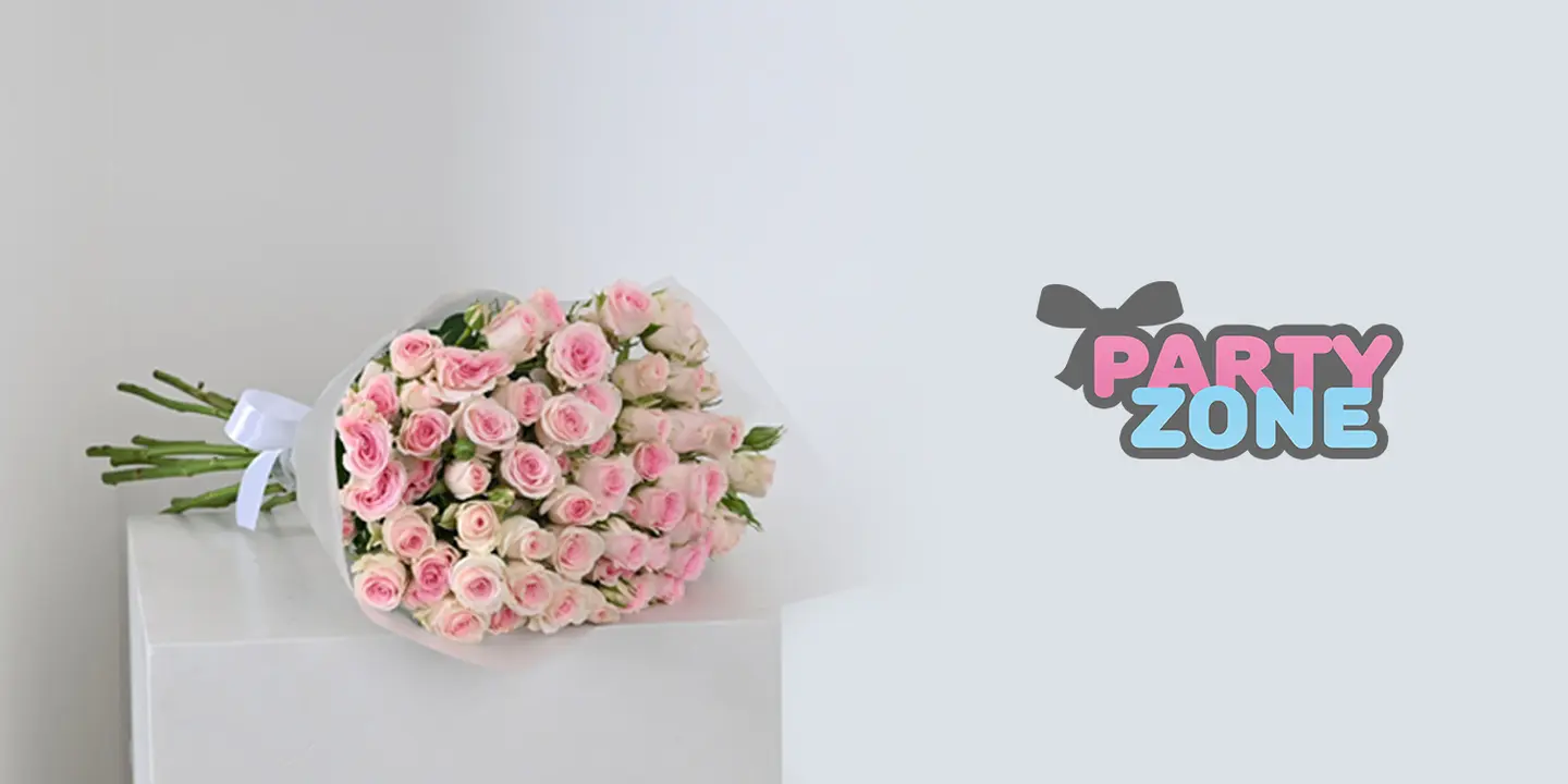 بارتي زون cover