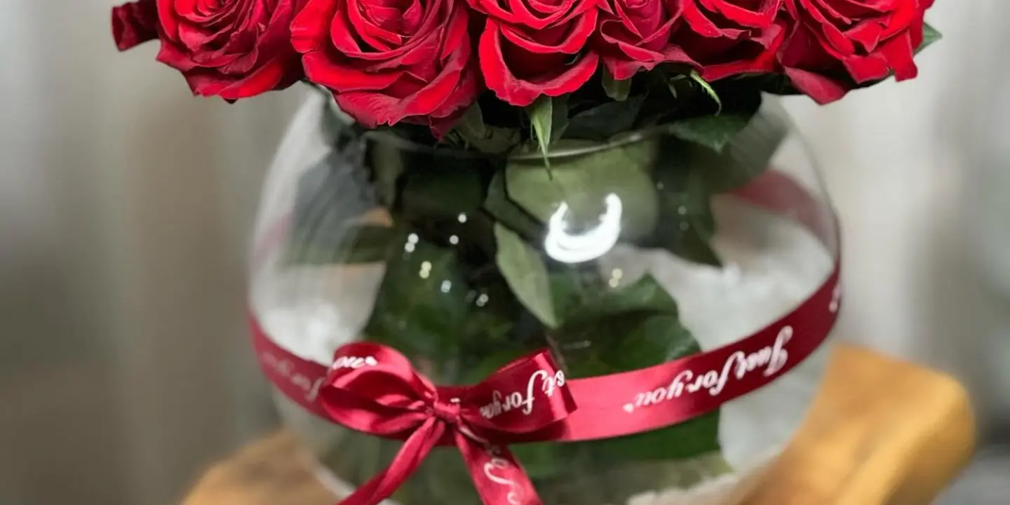 بتلا فلورز cover