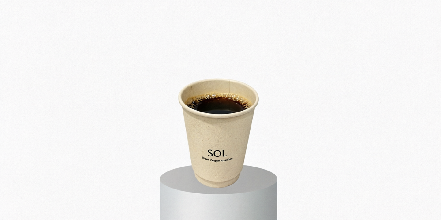 SOL cover