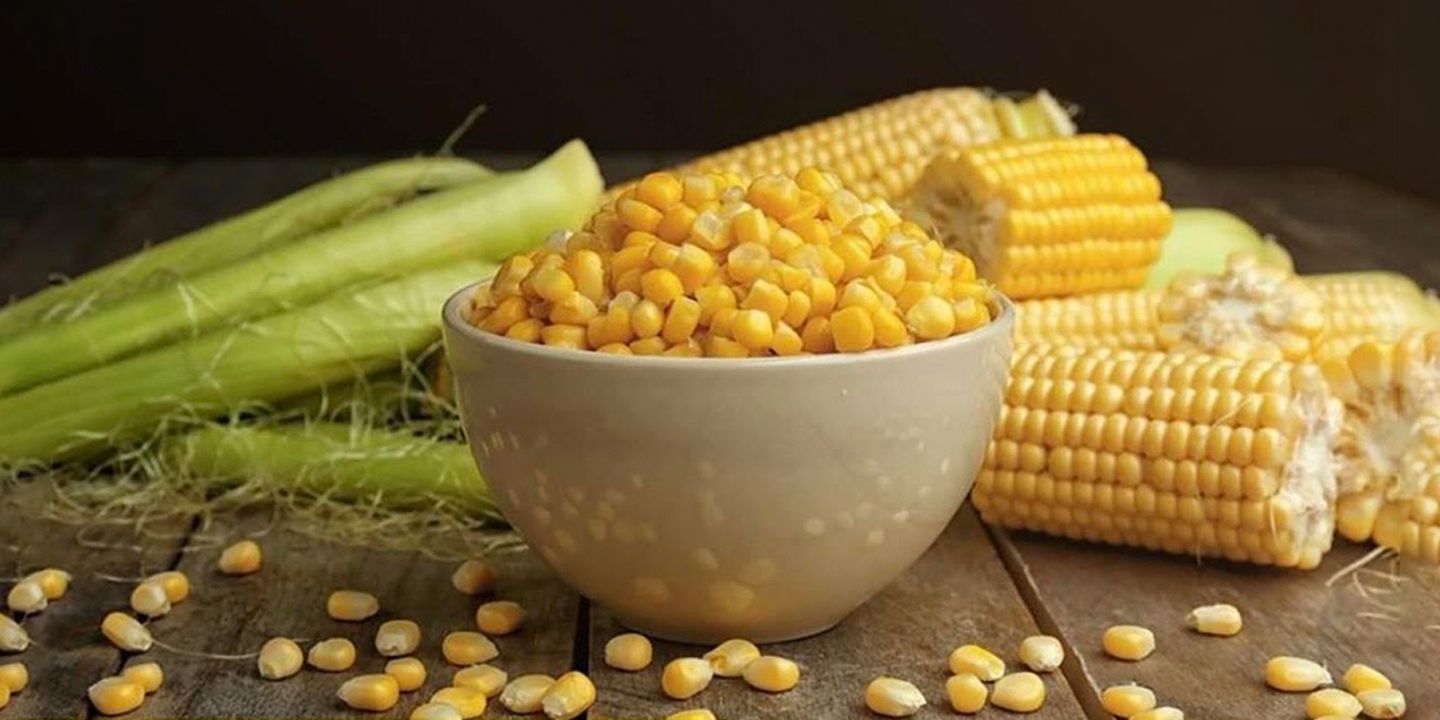 Corn World cover