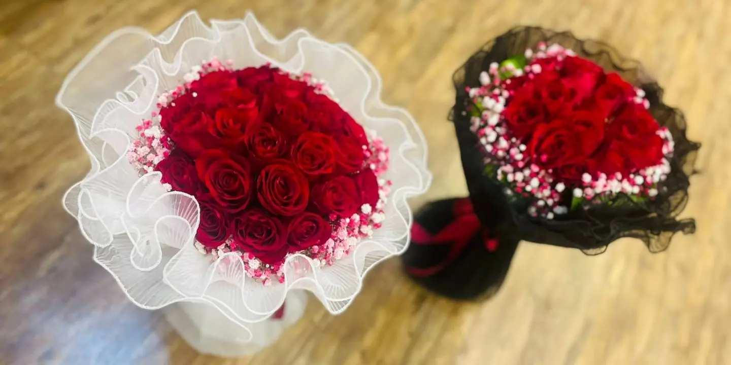 نوادر الفكرة cover