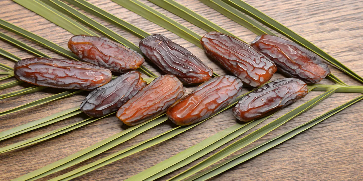كرم الضيافة  cover