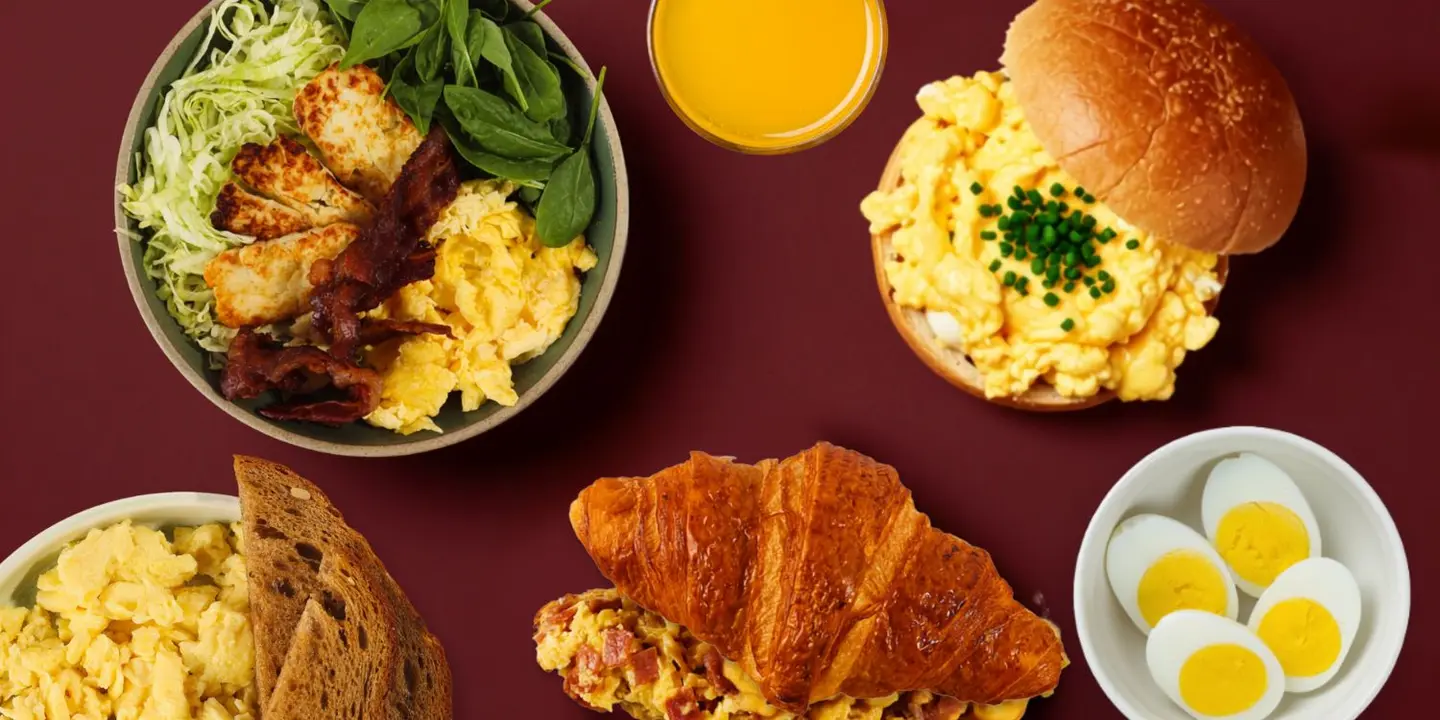 Everything Egg cover