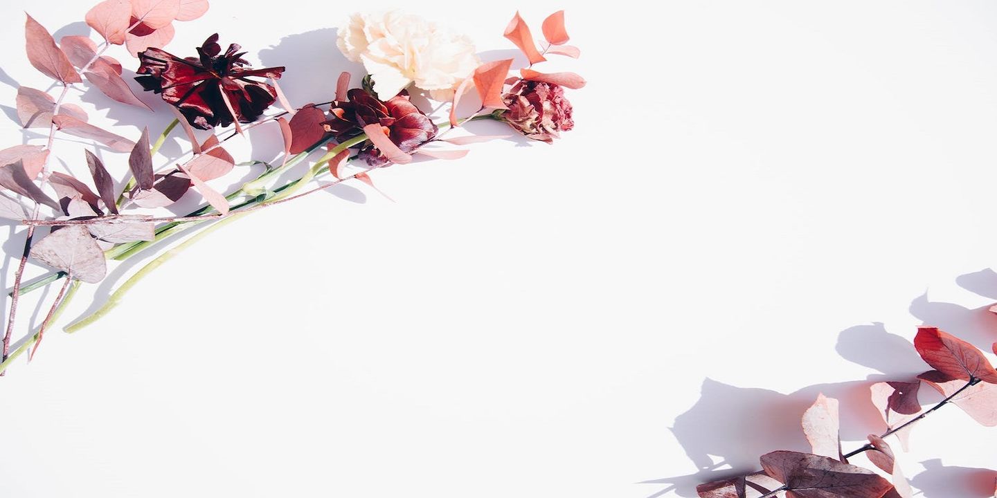 Rosa flowers cover