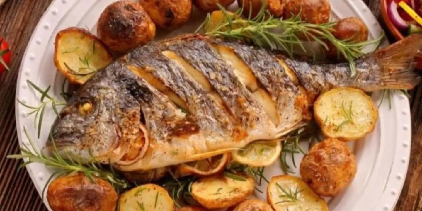 اسماك ماجد صالح الرجبي  cover