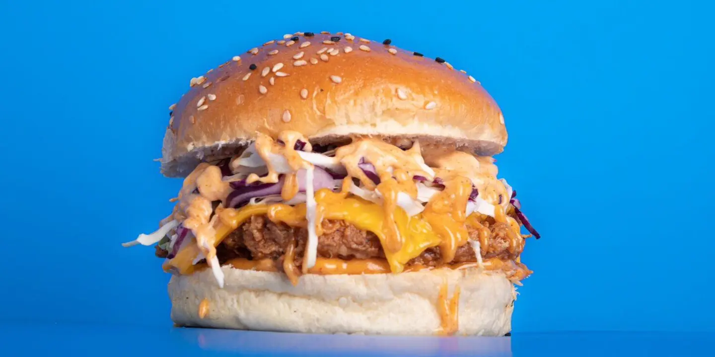 Elsewhere burger cover