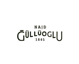 Najd gulluoglu logo
