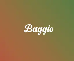 Baggio logo