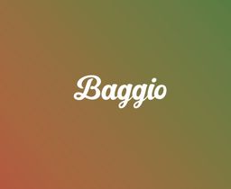 Baggio logo