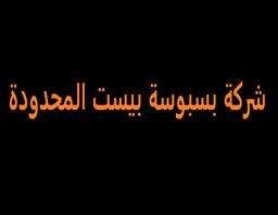 Basbosa best company limited logo