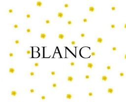 Blank Coffe logo