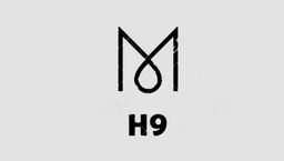H9 logo