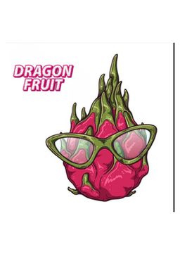 Dragon fruit juices logo