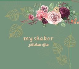 My Skaker logo