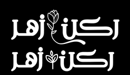 RAKN ZAHR logo