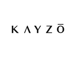 Kayzo logo