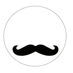 Shahi  Shanab logo