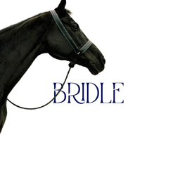 Bridle logo