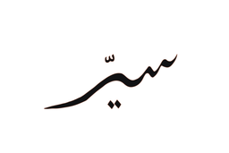 Sair logo