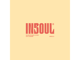 Insoul logo