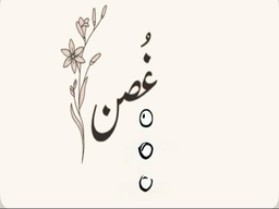 Ghusn logo