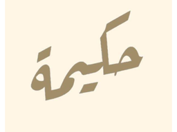 Hakema logo