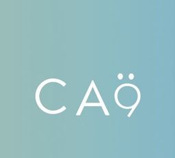 CA9 ؛ Al Muftaha logo
