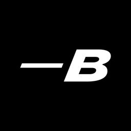 Section-B logo