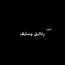 Ozone zaghalel and saleeg logo