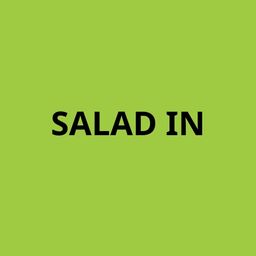 Salad’IN logo