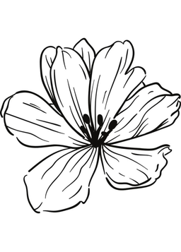 Flower Story logo