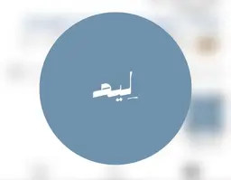 Leem logo
