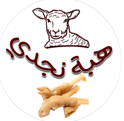 Hibah Najdi logo