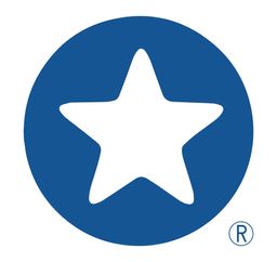 Blue Star Express logo