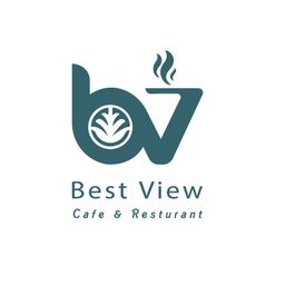 Best View logo