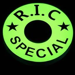 R.I.C Special logo