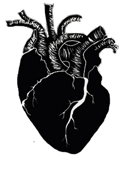 Black Heart logo