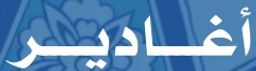Agadir logo