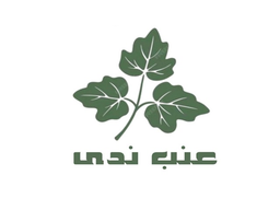 Nada enab logo