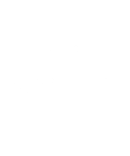 GRAVITO logo