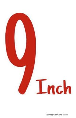 9Inch logo