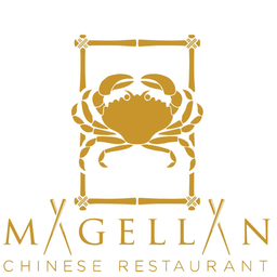 Magellan logo